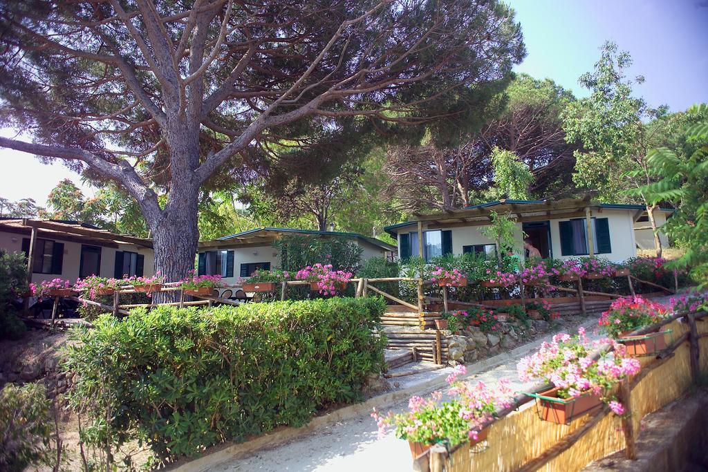 Acquaviva Village Camping Portoferraio Rum bild